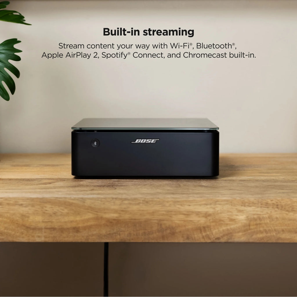 Wi-Fi Bluetooth Speaker Amp P594