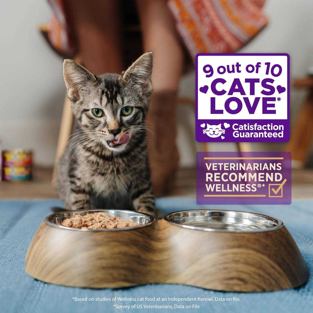 Flaked Wet Cat Food N494