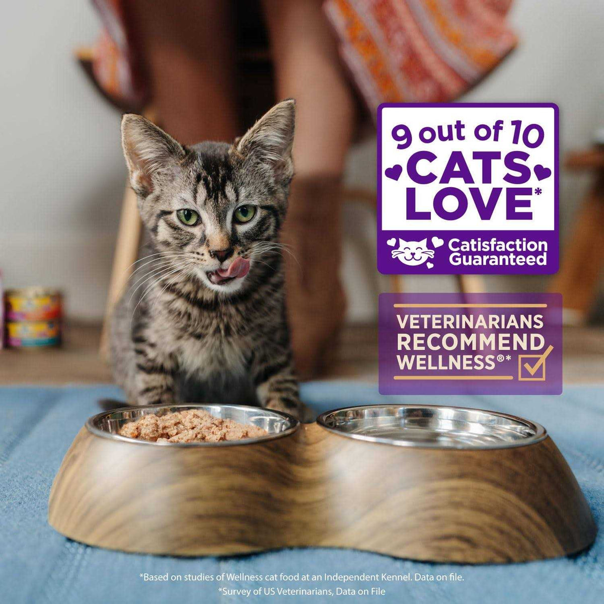 Flaked Wet Cat Food N494