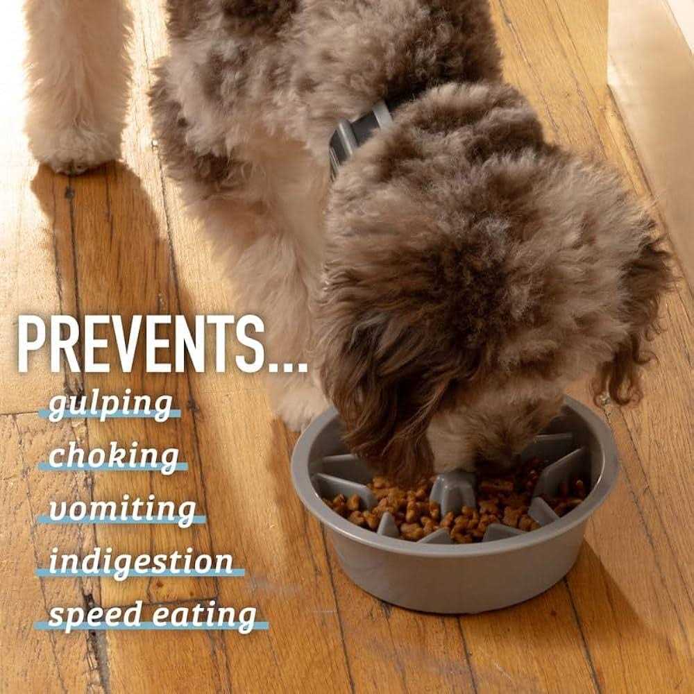 Slow Feeder Dog Bowl with Feeder Holes Q848