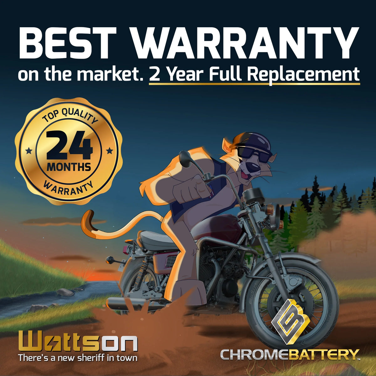 12 Volt 14 Ah 190 CCA Motorcycle Battery S320