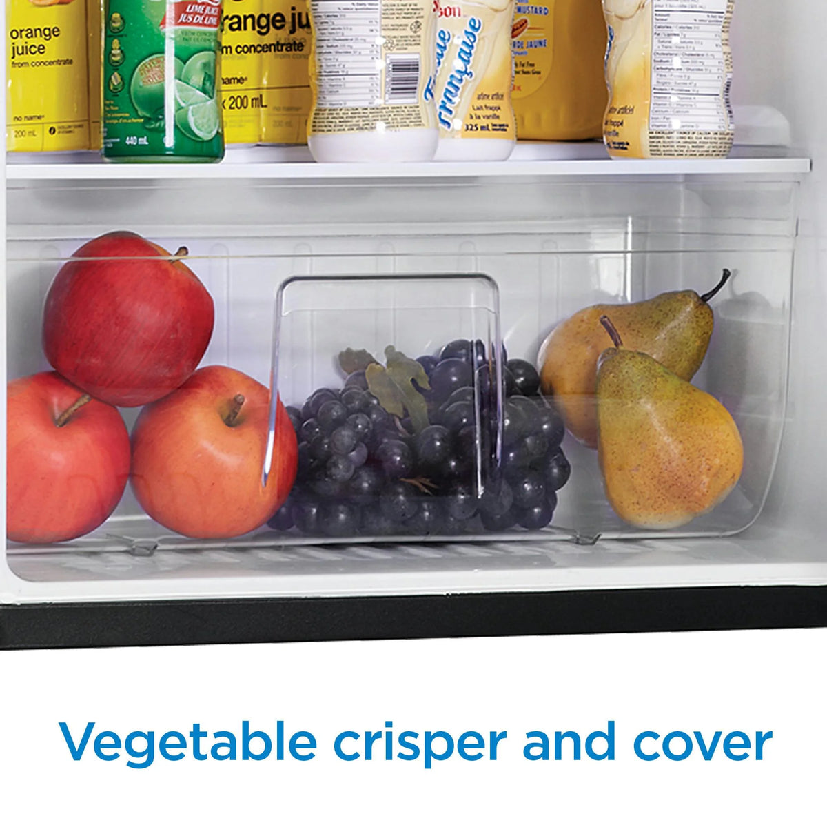 2.6 Cubic Feet Compact Freestanding Refrigerator, Black U595