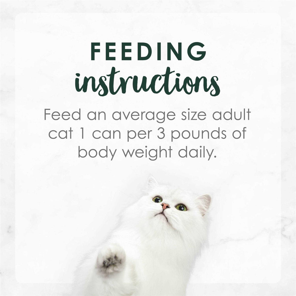 Wet Cat Food K3846