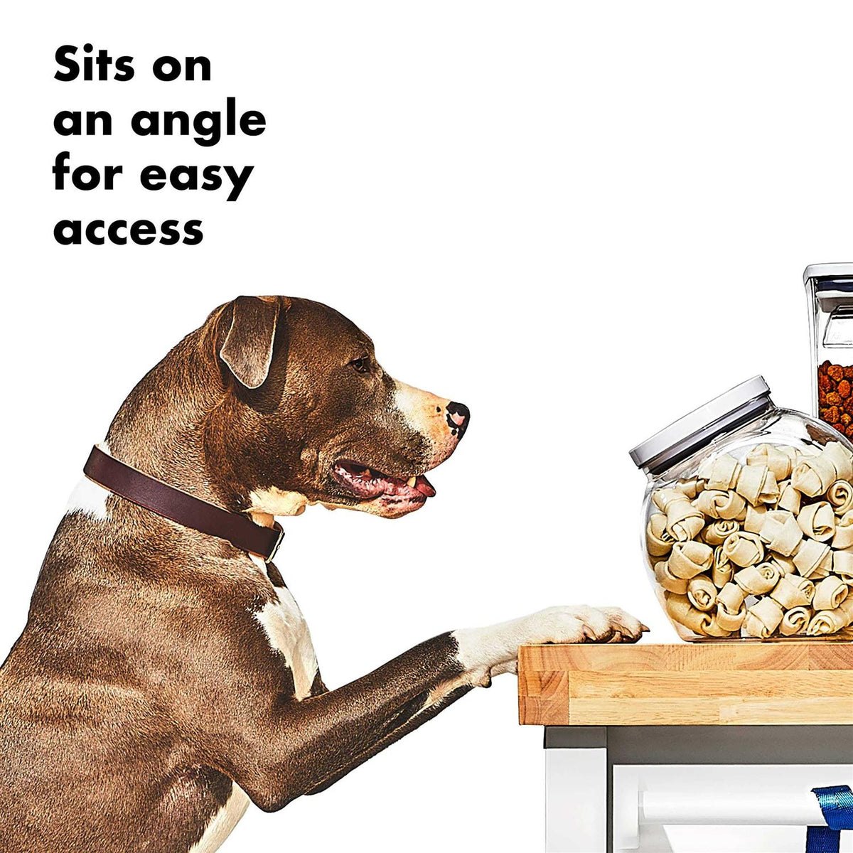 Pet Container I24909