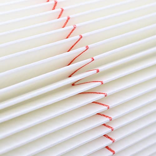 Replacement Filter for 5-20 Gallon Wet Dry Vac E99249