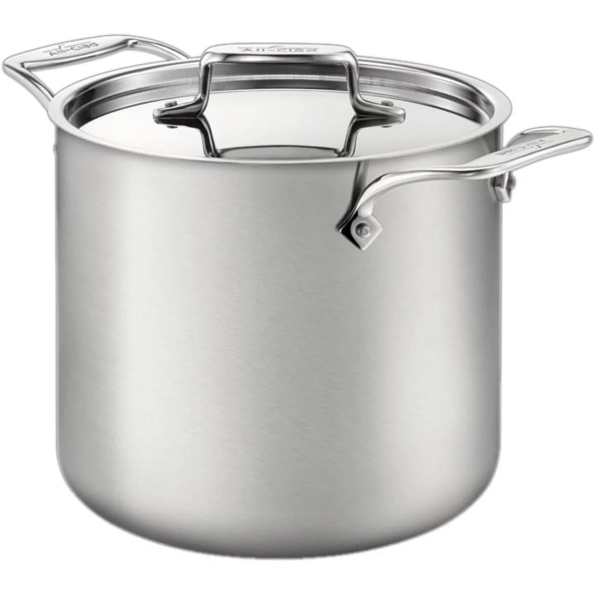 Brushed Stainless Cookware W309701