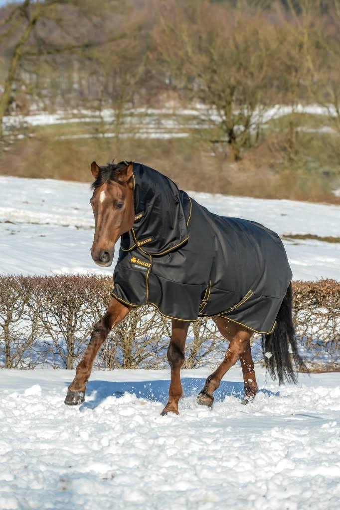 Black Irish Turnout Extra X845