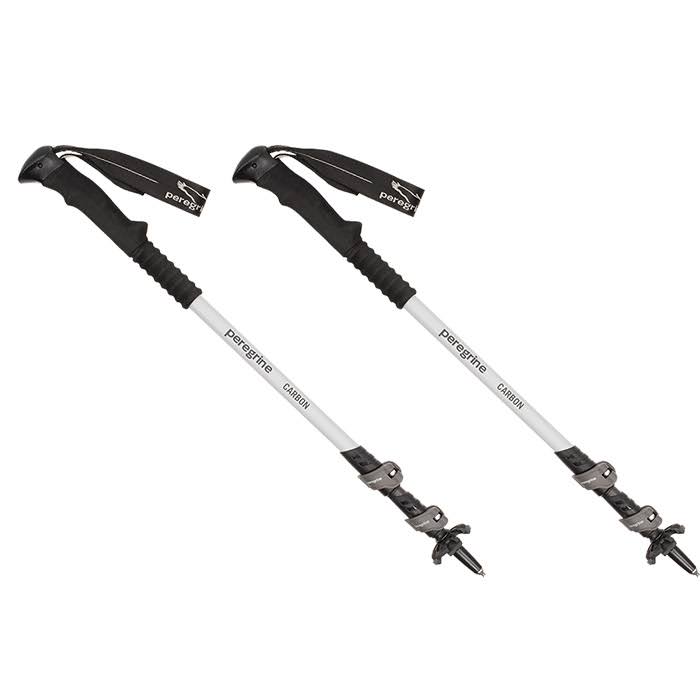 Carbon Folding L244