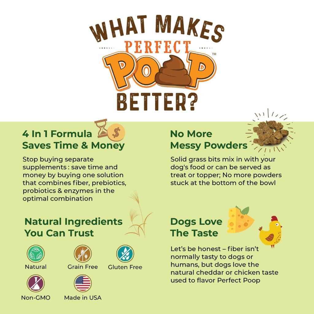 Perfect Poop Supplement G78966