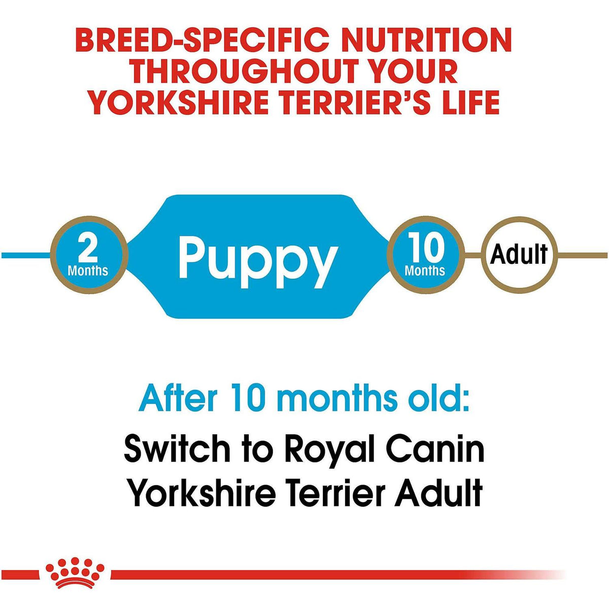 Dry Dog Food T19061