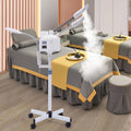 Nano Cold Spray Facial Steamer Z645