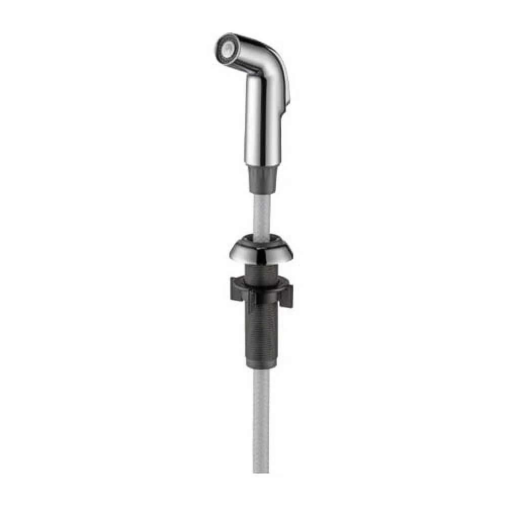 Chrome Side Spray and Hose Assembly W70517