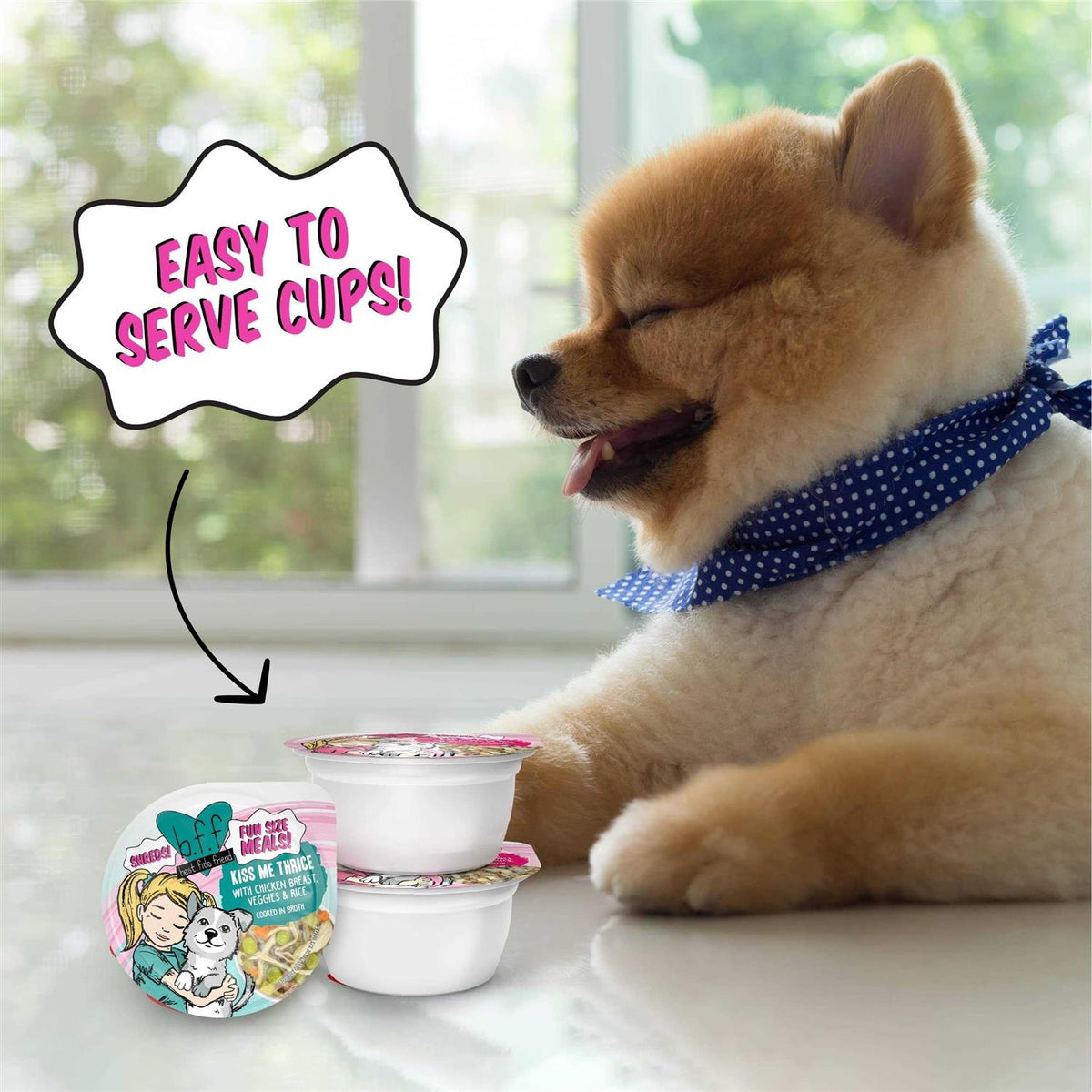 Wet Dog Food Variety Pack T6542