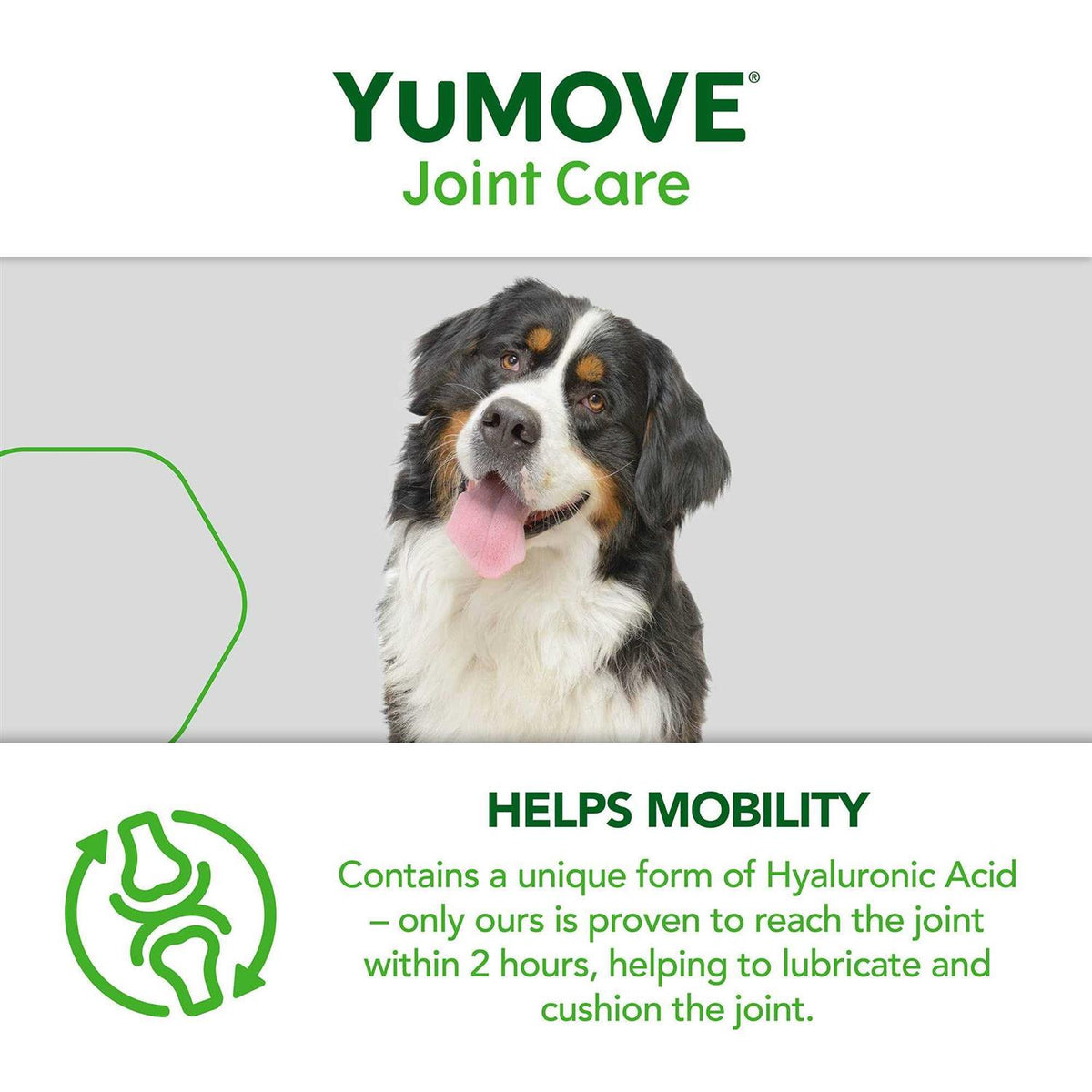 Joint Supplement for Senior Dogs D835169