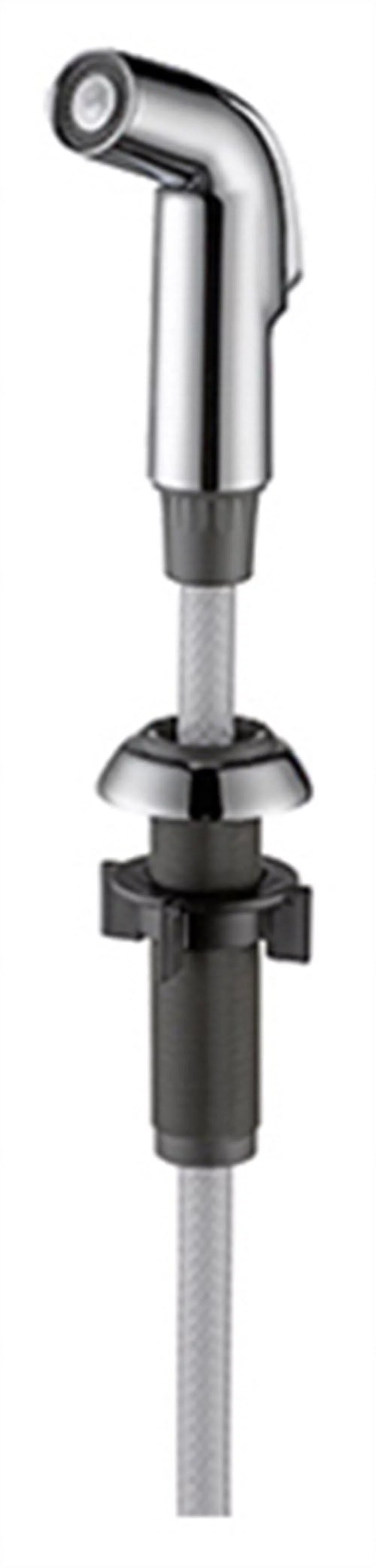Chrome Side Spray and Hose Assembly W70517