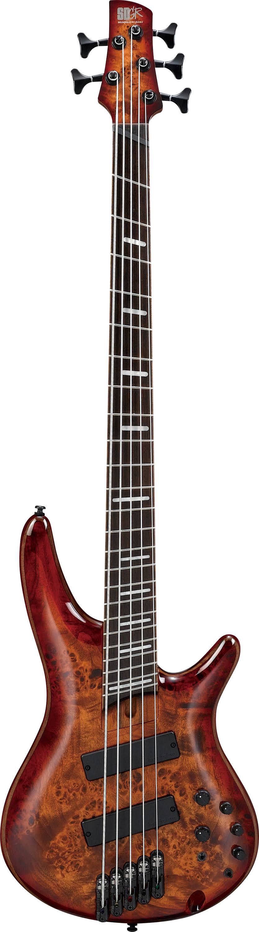 Brown Topaz Burst 5-String Electric Bass P9800