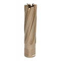 21mm x 50mm Carbide Tip Annular Cutter A96819
