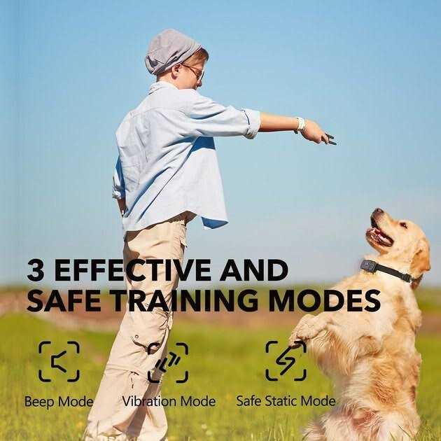 Dog Training System L12363