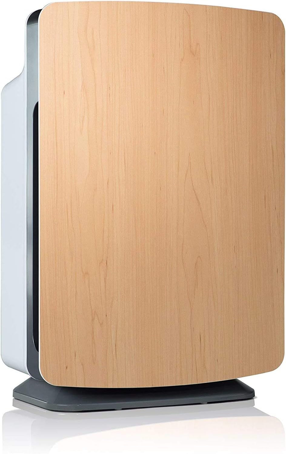 Large Room Air Purifier with H13 True HEPA Filtration F601