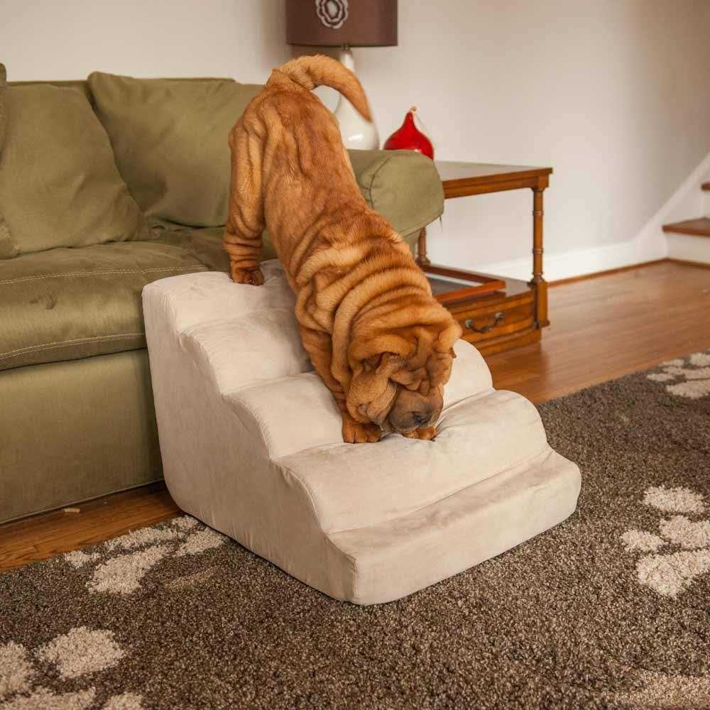 Scalloped Pet Ramp I76058
