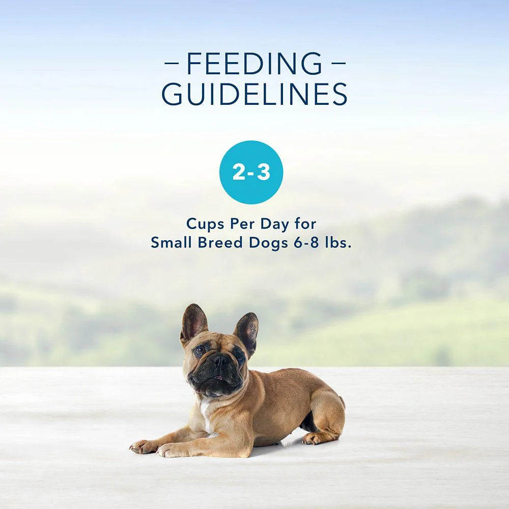 Natural Adult Wet Dog Food Cups 3.5 oz. 12 pk. U387577