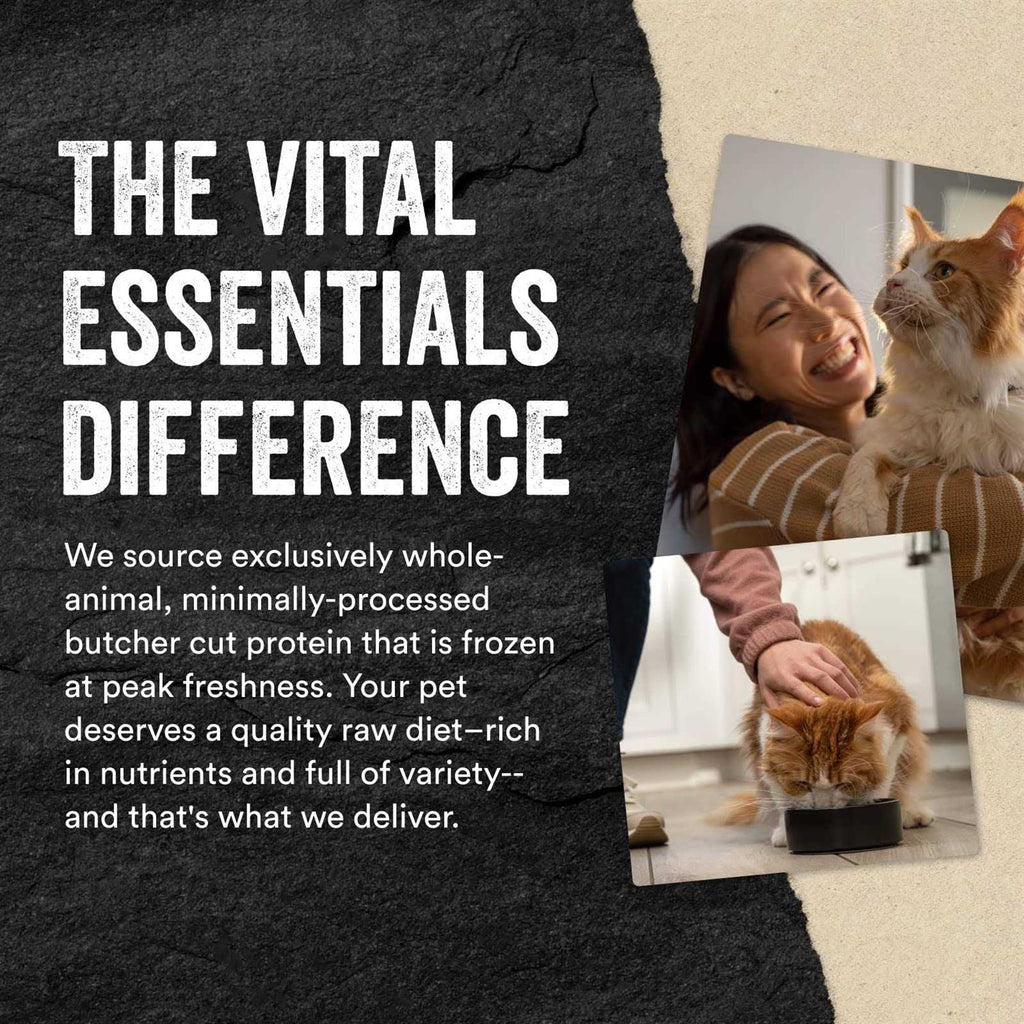 Freeze-Dried Raw Cat Food E972
