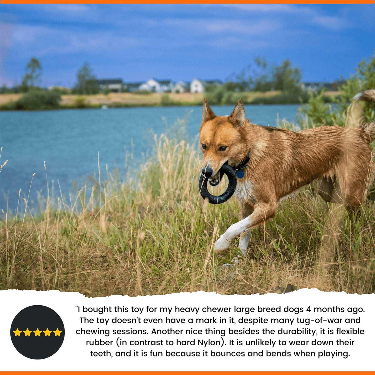 Ultra Durable Chew Dog Toy W790230