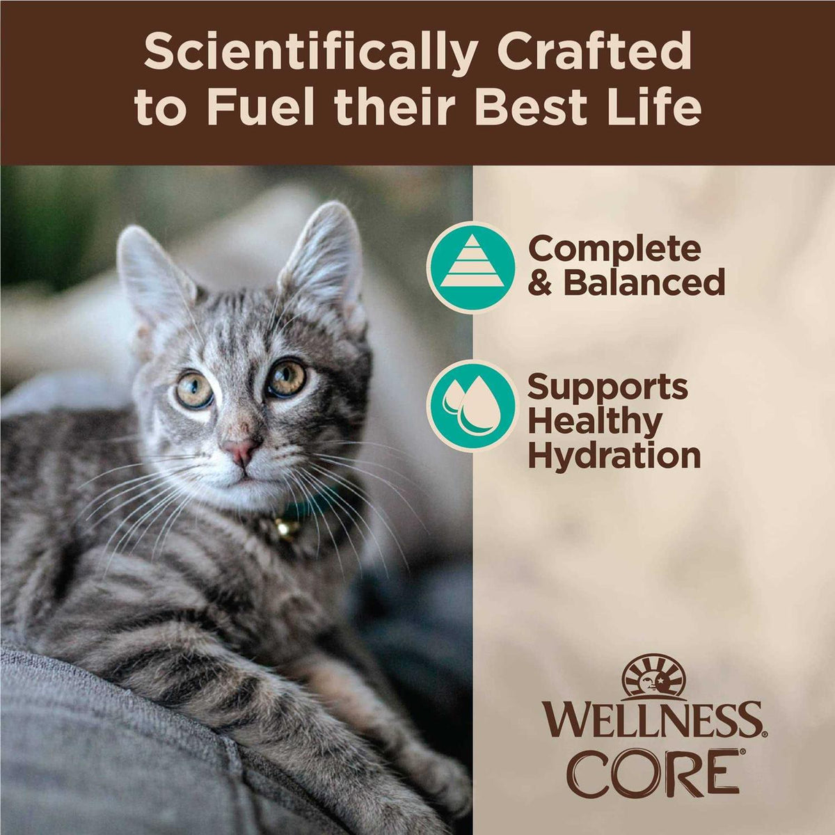 Flaked Wet Cat Food N494