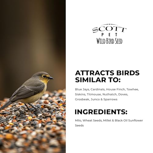 Peanuts Split Wild Bird Seed 8 lbs Bag T94853