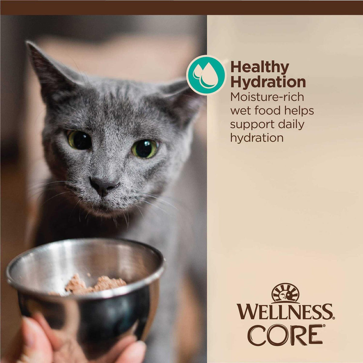 Flaked Wet Cat Food N494