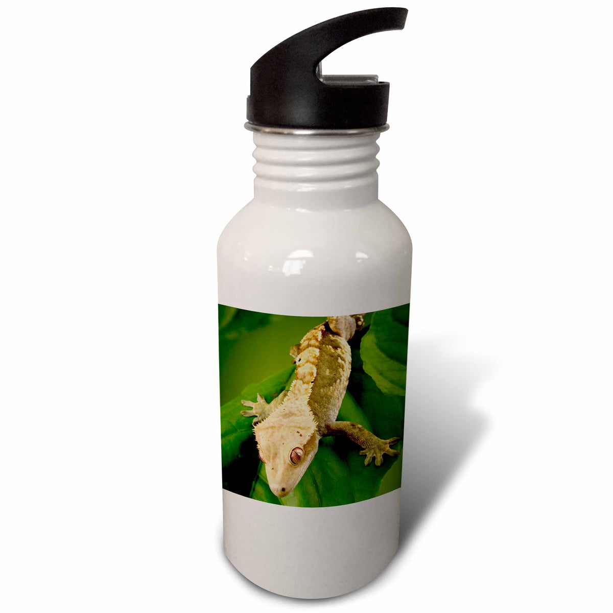 21 oz Sports Water Bottle Q718