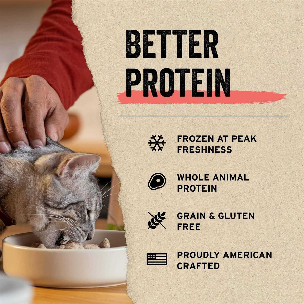 Freeze-Dried Raw Cat Food E972