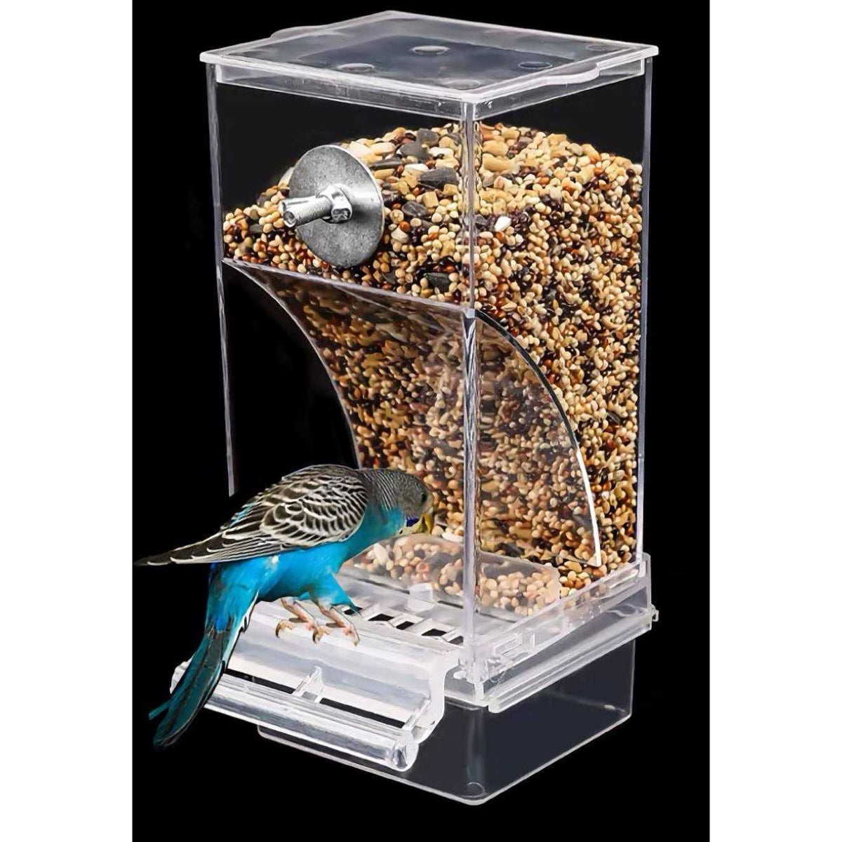 Automatic Bird Feeder U2069