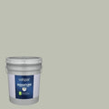 Interior Paint (5-Gallon) T38990