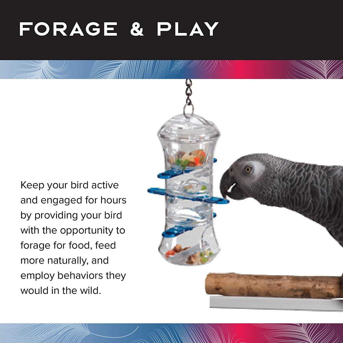 Foraging Push and Pull E24372