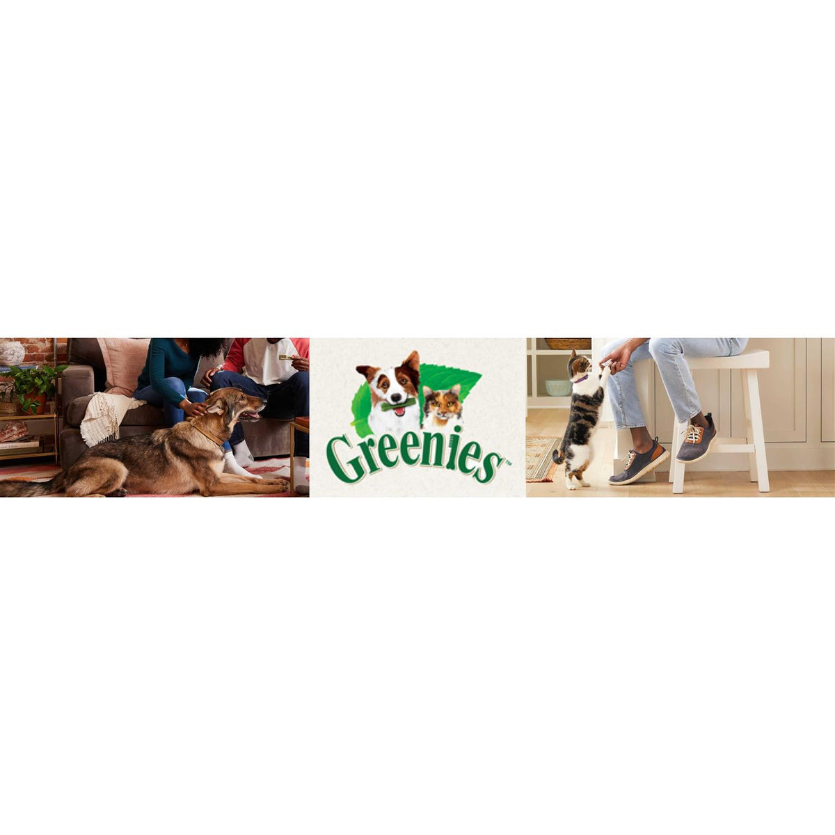 Dental Dog Treats Y839934