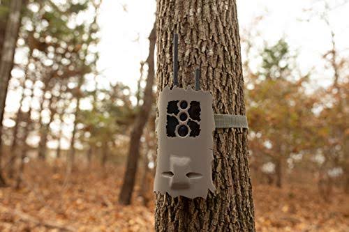 Trail Camera D716119