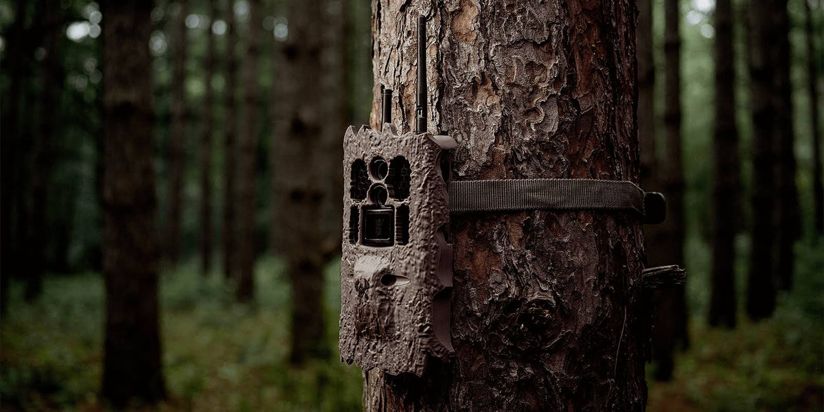 Trail Camera D716119