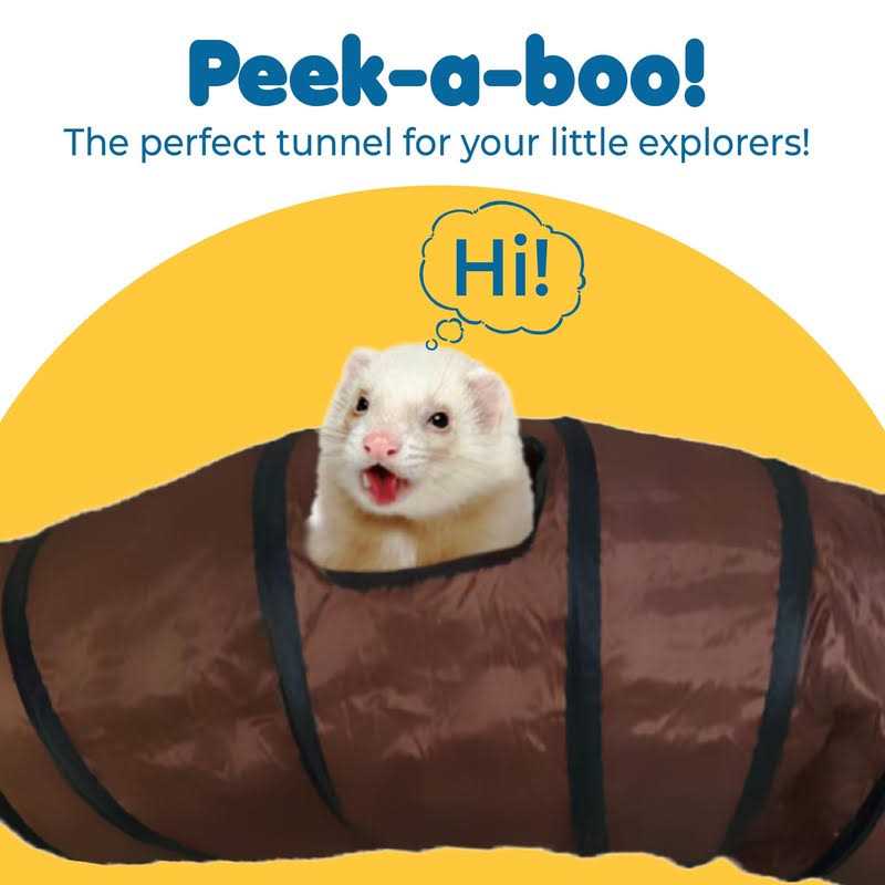 Collapsible Polyester Tunnel with Steel Frame and Carrying Case Y440571