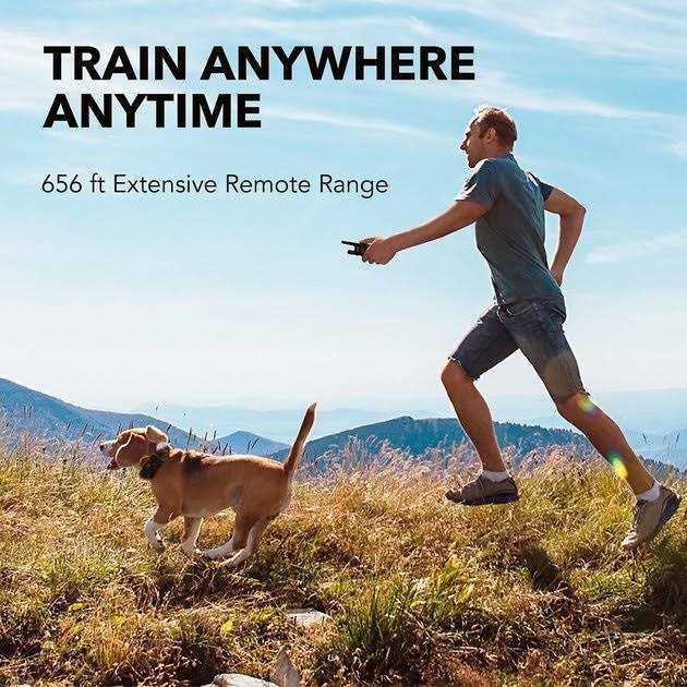 Dog Training System L12363
