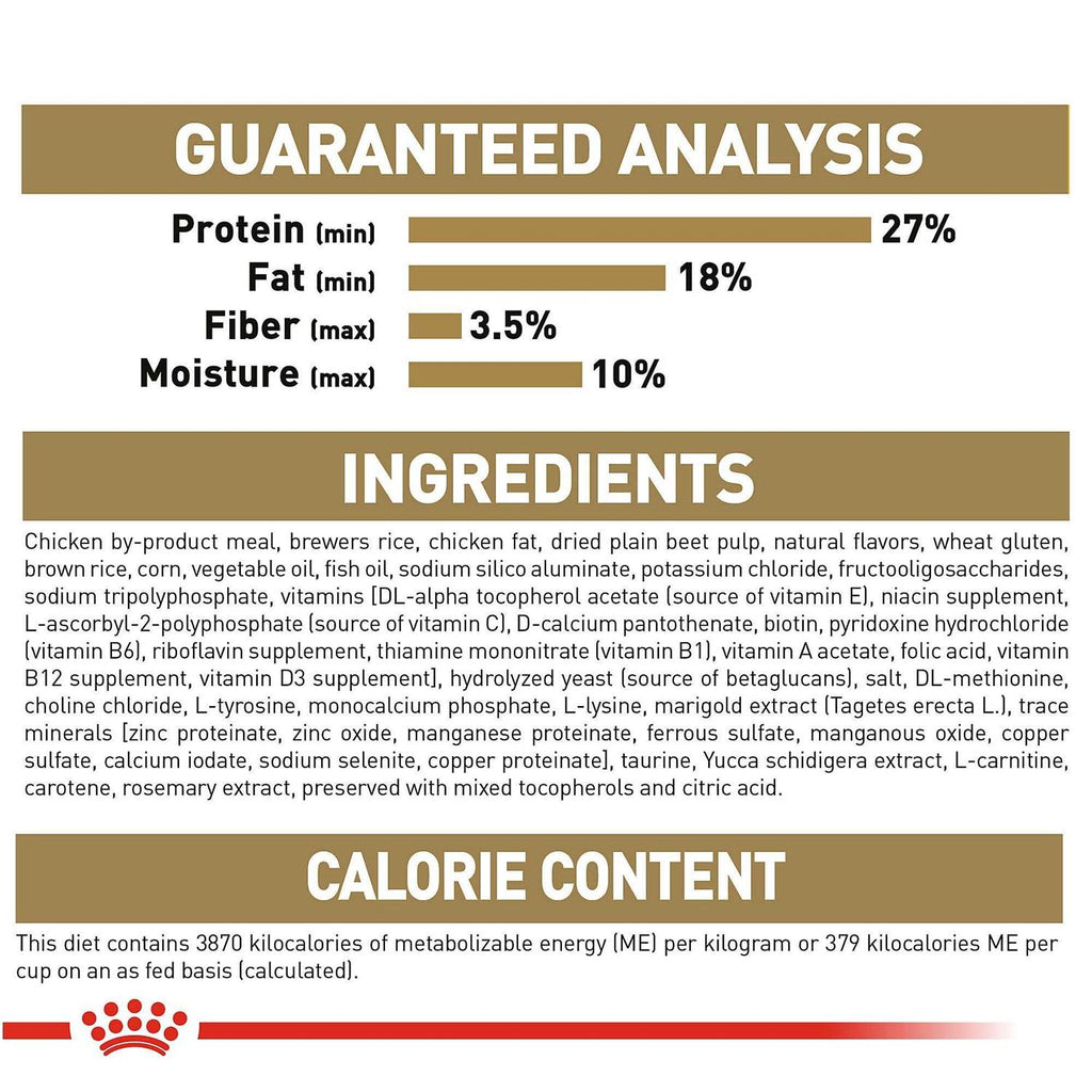 Dry Dog Food T19061