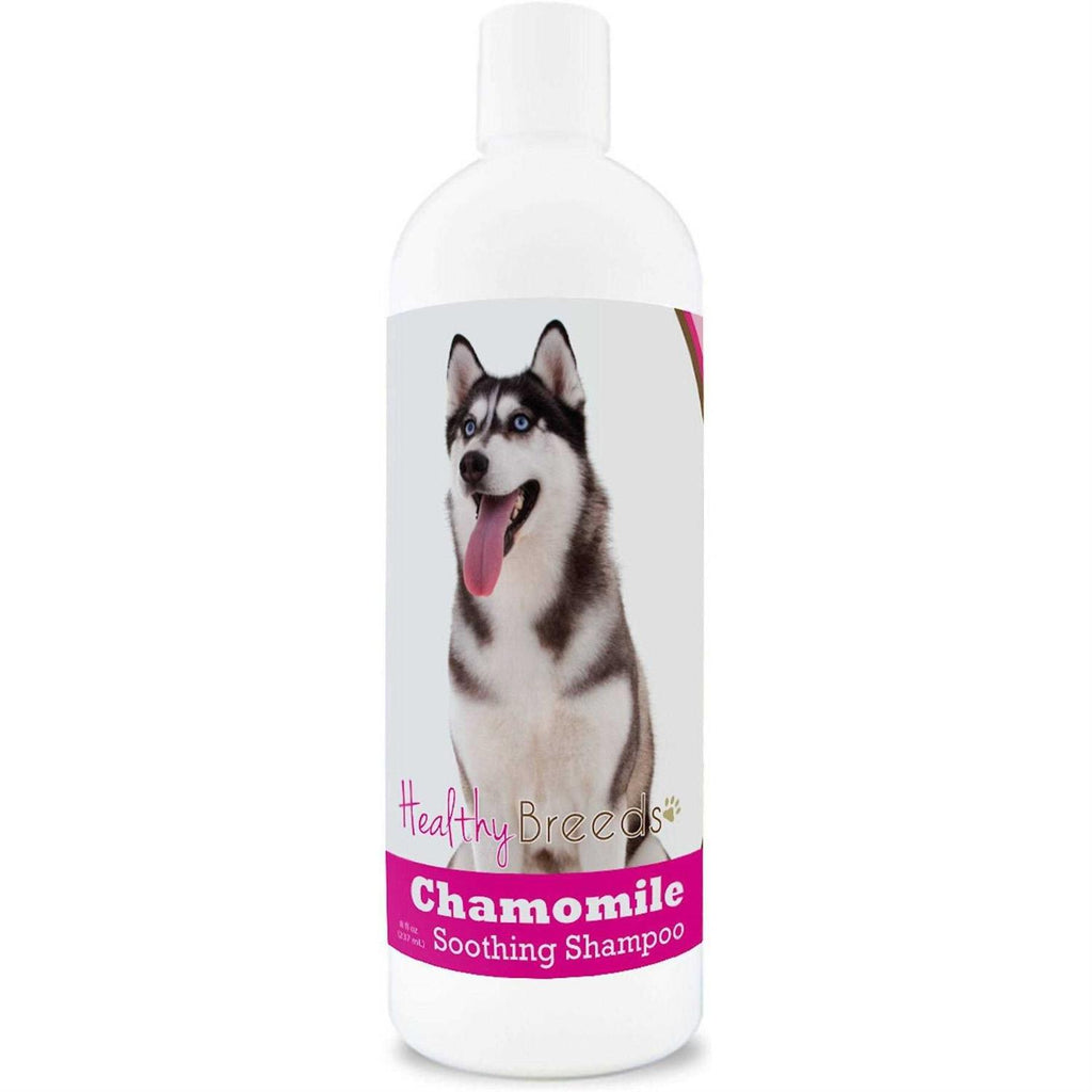 Chamomile Soothing Dog Shampoo Y693459