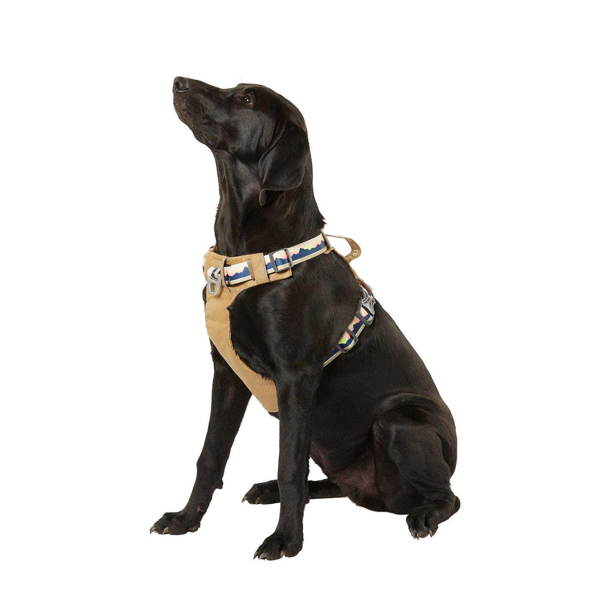 Lightweight Dog Harness M770