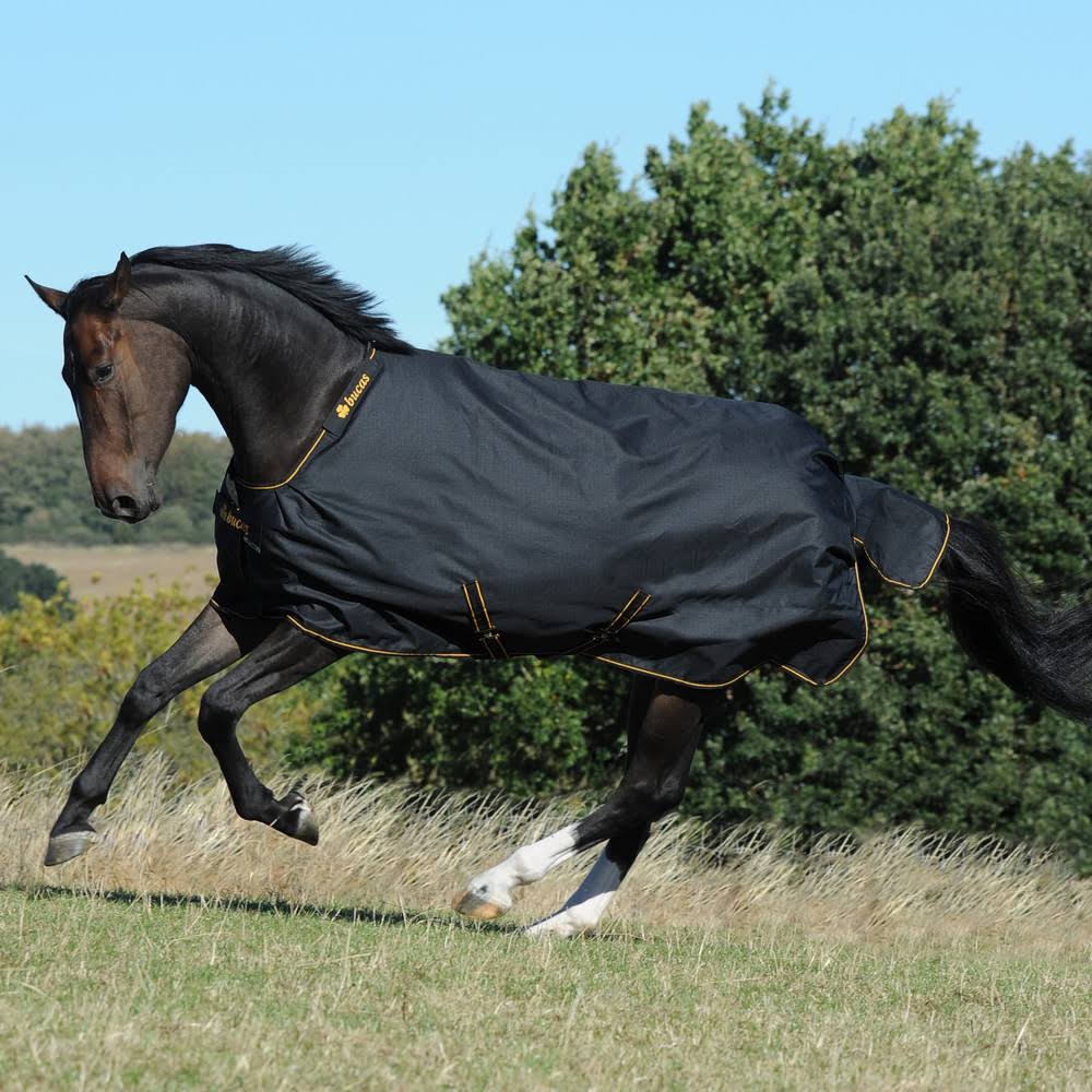 Black Irish Turnout Extra X845