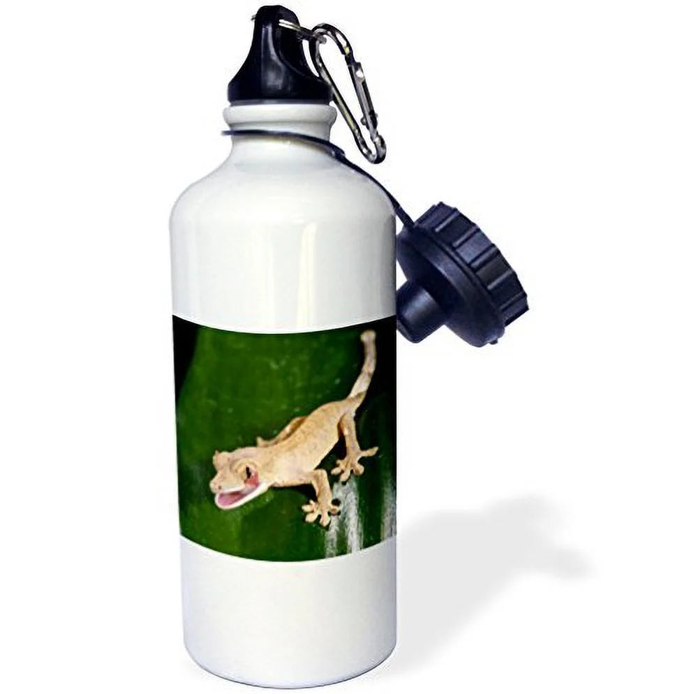 21 oz Sports Water Bottle Q718