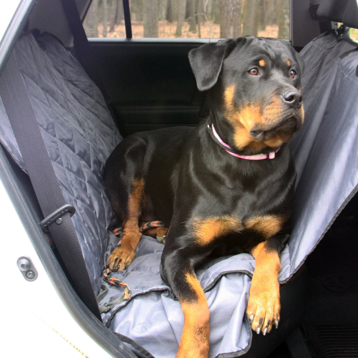 Luxury Pet Car Seat Cover T5228