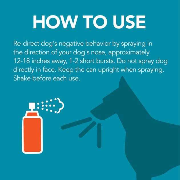 Dog Correction Spray P830756