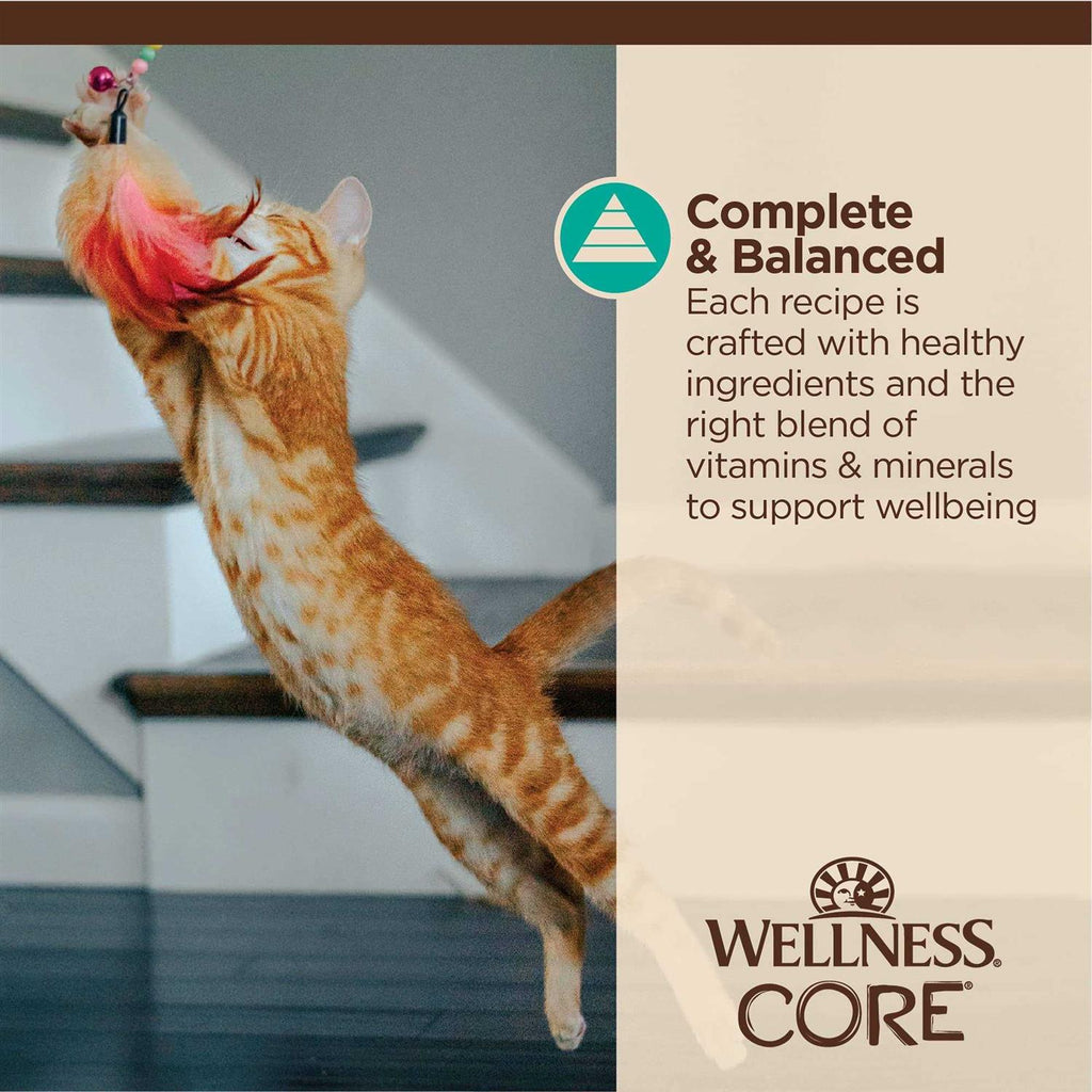 Flaked Wet Cat Food N494