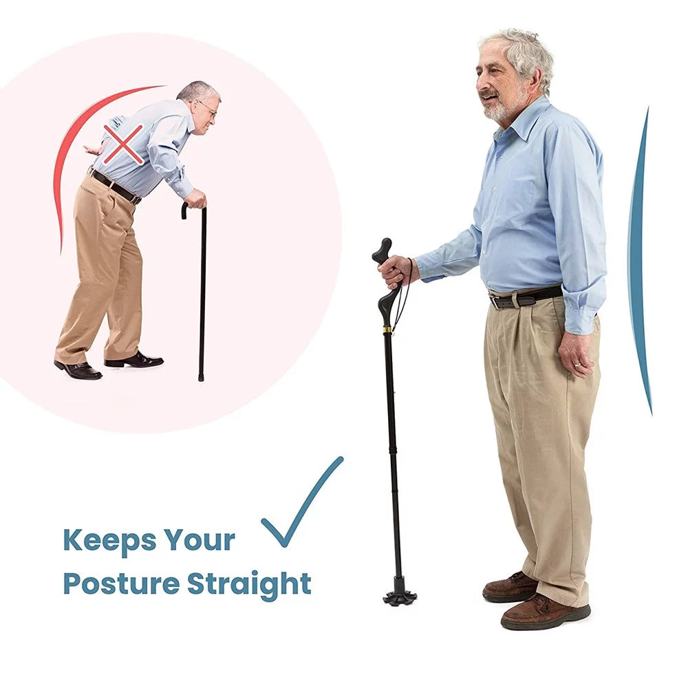 10 Adjustable Heights Self Standing Folding Walking Cane N3957