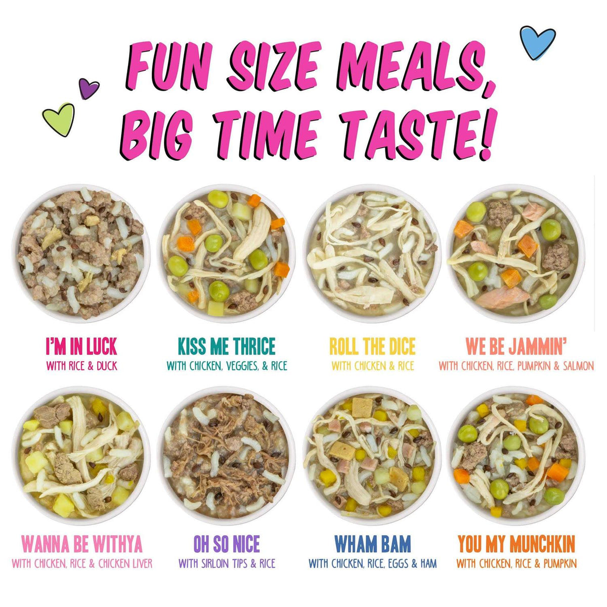 Wet Dog Food Variety Pack T6542